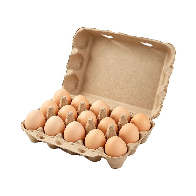 15 Cells Molded Pulp Egg Carton Biodegradable Eco Friendly Egg Tray Box for Chicken Eggs Custom Logo Wholesale