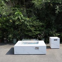 Table basse extérieure de foyer au propane, radiateur de patio à base rectangulaire, brûleur en acier inoxydable de 50,000 BTU, pierres de lave et couvercle gratuits