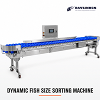 Machine Professionnelle de Calibrage au Poids Acier Inoxydable 304 Seuils de Poids Réglables pour Sardine Tilapia Poisson-chat