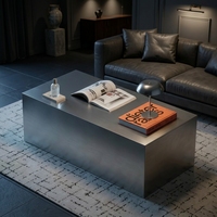 Ensemble de table basse et canapé en acier inoxydable minimaliste moderne pour la maison, salon, petits appartements, pas d'assemblage requis, modèle