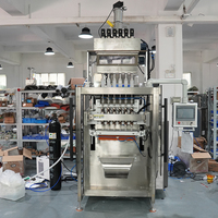Machine d'emballage verticale haute précision multi-voies pour poudre de café et poudre de masala, 3, 4 ou 6 voies