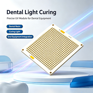 Módulo LED UVA de Alta Potencia de 3000W, 365-405nm, Fuente de Luz UV para Inspección de Fluorescencia, Pruebas NDT, Curado de Resina, Odontología - Product Image 5