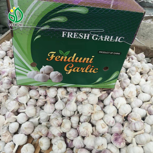 Ajo Blanco Fresco a Granel de Venta Directa de Fábrica China Fenduni, Ajo Seco Picante, Sabor Crudo, el Mejor Suministro de Ajo - Product Image 3