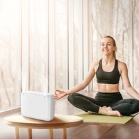 Diffuseur d'huiles essentielles sans eau SCENTA OEM, marque privée, vente en gros, diffuseur d'air électrique automatique, parfum, machine à parfum, hôtel