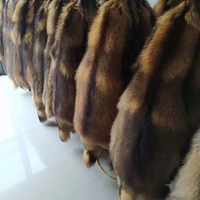 Peau de raton laveur naturelle de qualité supérieure, fourrure de raton laveur véritable en gros avec queue pour manteaux et colliers de luxe