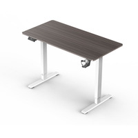 Bureau moderne ergonomique à moteur unique de haute qualité, Table d'ordinateur, bureau électrique réglable en hauteur
