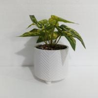 Plante artificielle de fougère en gros OEM, pot en céramique de dolomite Chevron, plante verte artificielle en pot pour la décoration intérieure de table et de maison