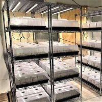Vente en gros de petits contenants en plastique microgreen hydroponic1020 Plateaux et couvercles pour pépinière de germination des plantes