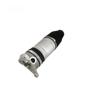 Nueva Venta al por Mayor de Amortiguadores de Suspensión Neumática Trasera para Automóviles A8 D5 4N 2016-2021 4N0616001 4N0616002 - Product Image 3