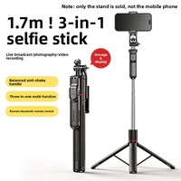 Fotopro F16 Anti-Shake Foldable Extendable Stainless Steel Selfie Stick LED Light Camera Phone Holder Tripod Max Load 2kg China