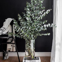 Vase en verre transparent minimaliste pour plantes hydroponiques, idéal pour le salon, la maison, le bureau ou l'hôtel – Nouveauté très prisée