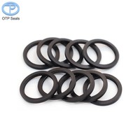 Joint d'étanchéité interne à ressort pour extrémité de tige, joints en PTFE (polytétrafluoroéthylène) avec fibre de carbone et graphite, ressort en V, non standard, personnalisé en usine