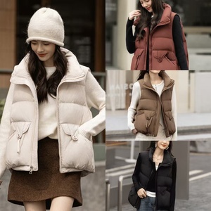 Veste à manches courtes pour femmes, printemps-automne, nouveau style, doublée de plumes, look haut de gamme - Product Image 1