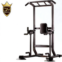 Equipo de Entrenamiento Multifuncional CHENGMO SPORTS, Barra Horizontal Interior para Ejercicios, Estación de Dominadas y Flexiones, Torre de Fuerza