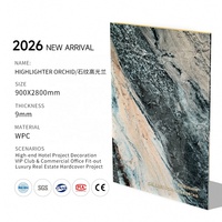 Nouveau Panneau Mural WPC Luxe Moderne Effet Veine de Pierre 2026, Ignifuge B1/Imperméable, Résistant à l'Usure, pour Hôtels, Salons VIP et Murs de Fond TV