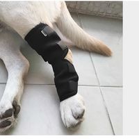 Attelle de genou pour chien, pour l'extérieur et la maison, en néoprène, protection souple, réglable, respirante, certifiée CE ISO, fermeture par enfilement