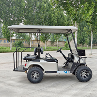 Voiturette de golf électrique 4 places équipée d'un contrôleur, autonomie de 90 km, 48V 72V, pour complexe hôtelier et parcours de golf
