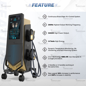 14 Tesla Elektromagnetische Muskelstimulation EMS-Gerät mit 4 Handstücken RF Elektrische Stimulation EMS-Gerät - Product Image 3