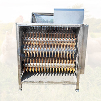 Plumeuse-échaudeuse de volailles pour poulets, canards, cailles, pigeons d'allaitement, pour ligne d'abattage