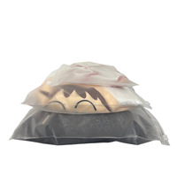 Usine Double Face Mat PE Vêtements Sac Horizontal Version Fermeture Éclair pour Chaussures Fourrure Stockage Semi Transparent Stock Emballage