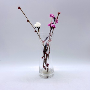 NOUVEAU <span class=keywords><strong>Vase</strong></span> <span class=keywords><strong>en</strong></span> <span class=keywords><strong>verre</strong></span> <span class=keywords><strong>jacinthe</strong></span> <span class=keywords><strong>vase</strong></span> vintage décoration d'intérieur - Product Image 4