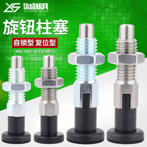 Goupille de positionnement à ressort autobloquante en acier inoxydable, type à rappel, filetage grossier PMXK PMXYK - Product Image 1