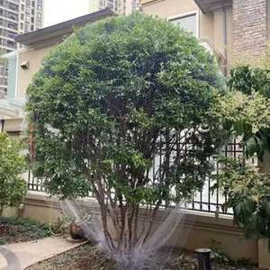 <span class=keywords><strong>Red</strong></span> <span class=keywords><strong>Antipájaros</strong></span> Directamente de Fábrica, <span class=keywords><strong>Red</strong></span> de Protección Contra Aves, Material HDPE Ecológico, <span class=keywords><strong>Red</strong></span> <span class=keywords><strong>Antipájaros</strong></span> con Protección UV - Product Image 1