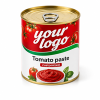 Ketchup en conserve de marque privée d'usine, pur à 100% et à haute teneur en Brix (28%), en bouteilles et en boîtes pour le marché ghanéen, 70g*50 cartons