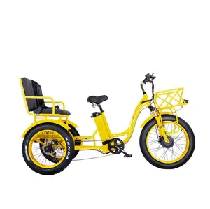 Electric Rickshaw Fat Tire 750W E Trike 2 Seats Adult 3 Wheel Fat Tire Eiectric Tricycle