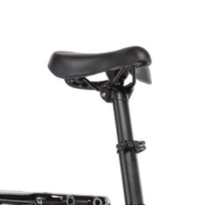 Bicicleta Eléctrica de Carga de Alta Calidad en Oferta, 48V 750W, 1x7 Velocidades, Cuadro de Aluminio, Bielas de 170mm, Bicicleta de Carga de Cola Larga - Product Image 4