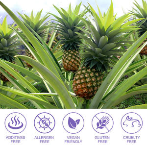 Private Label Groothandel Originele Vaginale Gezondheid Gummies Premium Vrouwelijke PH Balans Gummies voor Vrouwen - Product Image 6