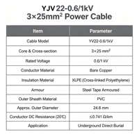 Câble d'alimentation YJV22 0,6/1 kV, 3 conducteurs, 25 mm², cuivre, isolation XLPE, blindage en ruban d'acier, enterrage direct, gaine PVC