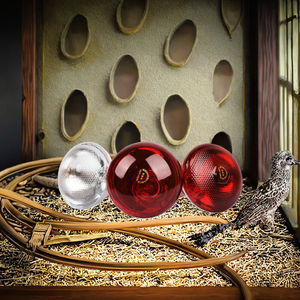 Lampe chauffante infrarouge LED Super Reptile BR-100W 100W pour reptiles, animaux de compagnie, couveuse, éclosion, cochon d'Inde, <span class=keywords><strong>chien</strong></span>, chat - Product Image 3