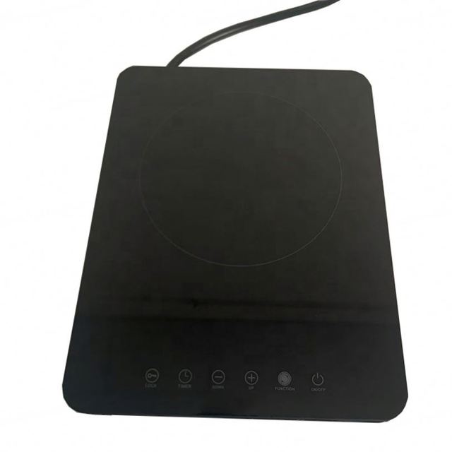 Portable Induction Cooker 1000W  120V