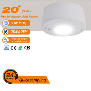 Luz de Emergencia Recargable de 8w, Empotrada en el Techo, 6000K, Luz de Emergencia LED Empotrada, Luz de Techo de Emergencia Moderna - Product Image 1