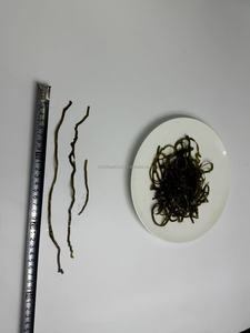 2025 nuevo corte de algas secas al sol Kelp Laminaria Japonica Cut - Product Image 4