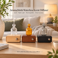 Diffuseur d'arômes sans eau 2023 en vogue, huile pure pour aromathérapie, parfum de luxe, cadeau festif, nébulisation domestique