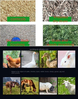 Nouvelle machine à granulés d'aliments pour animaux domestiques, petite, en acier inoxydable, capacité 1 tonne/h, pour broyage et pétrissage du maïs et de la paille, et découpe d'herbe sèche/humide