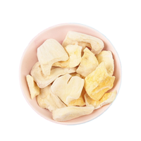 Trozos de Jaca Liofilizados OEM a Granel, Snack Saludable con Tecnología FD, Fruta Tropical, Fabricante Mayorista, Exportación