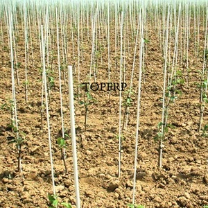 Heavy-Duty Fiberglass <b>Garden</b> Stakes FRP Plant Supports Rod - Product Image 4