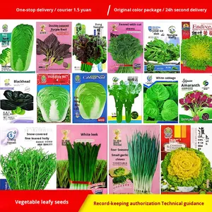 ผักสี่ฤดู อัตราการงอกสูง สำหรับกะหล่ำปลีจีน รุ่น BB436 ผลิตในจีน ขายส่งจากฟาร์มเพื่อความเจริญรุ่งเรือง - Product Image 2