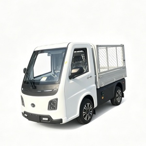Vehículo Eléctrico de 4 Ruedas Runhorse TEV, Conducción por la Derecha, Auto Eléctrico para Adultos, 2 Asientos, Mini Camioneta Eléctrica para el Mercado Europeo - Product Image 2