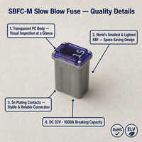 Fusible à déclenchement lent 15A / 20A / 25A / 30A / 40A 32V 58V Kit automobile à temporisation