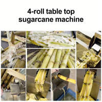 Presse à canne à sucre électrique commerciale verticale en acier inoxydable, rouleaux solides, haute efficacité, capacité 1,5L