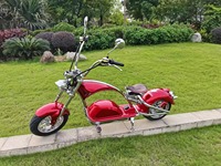 Skuter Listrik Citycoco 2000w Tahun 2026, Sepeda Motor Moped E Chopper untuk Dewasa 4000w Citycoco