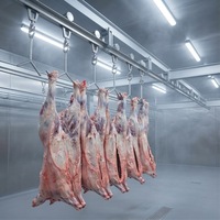 Équipement d'abattage de moutons à grande échelle, équipement d'abattage de moutons pour l'abattage de chèvres