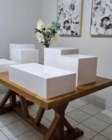 Iangel Support d'Exposition en Acrylique Carré à 5 Faces Couleur Personnalisée, Cubes Emboîtables pour Buffet, Présentoirs Alimentaires en Acrylique pour Usage Domestique ou Mariage