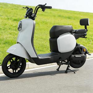 Bicicleta Eléctrica 2026 Nueva de 500W/350W para Adultos, Motor Trasero sin Escobillas, Batería de Plomo-Ácido, Largo Alcance, Alta Velocidad 25km/h - Product Image 3