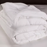 Couettes d'hôtel blanches pelucheuses 100% Polyester, couette de luxe king size, couette blanche d'hôtel bon marché