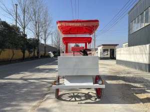 Vehículo Eléctrico de Lujo Estilo Victoriano Real para Turismo, Parques Ecuestres y Atracciones - Product Image 6